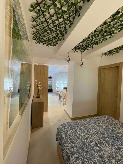Apartamento Mediterraneo A 20M De La Playa Denia Dış mekan fotoğraf